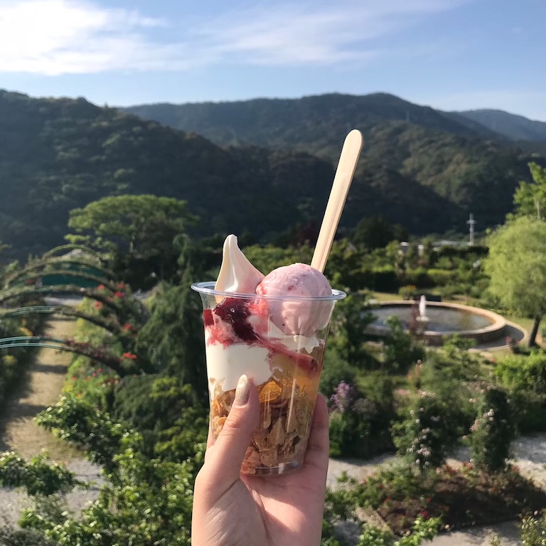 5月のモネの庭の薔薇ソフトクリーム