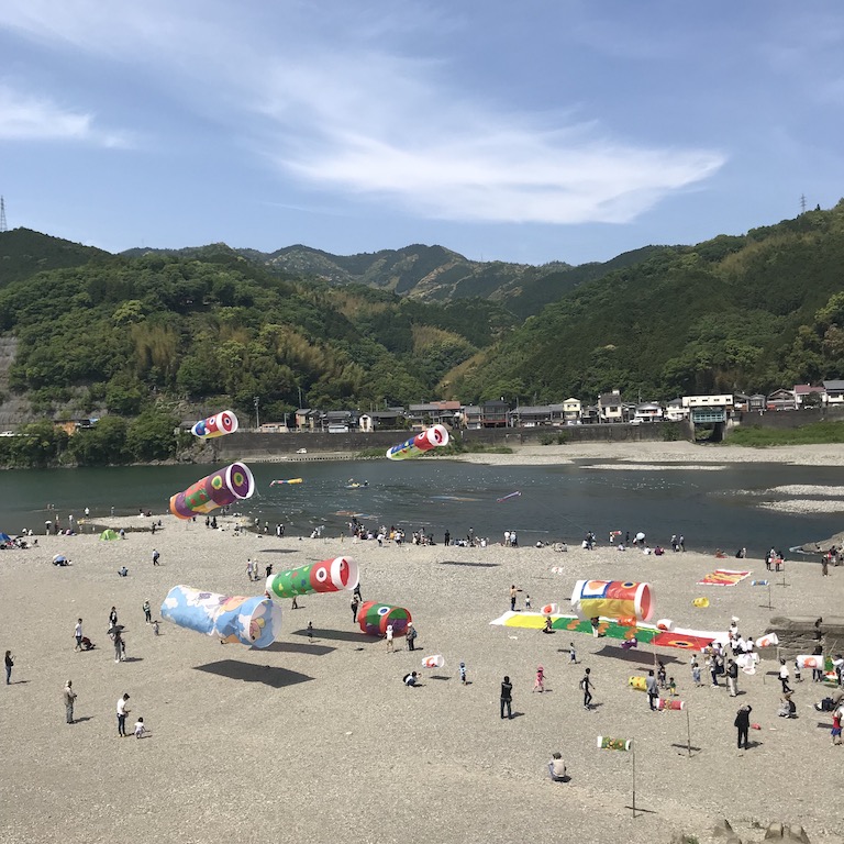 仁淀川の川に流れる鯉のぼり