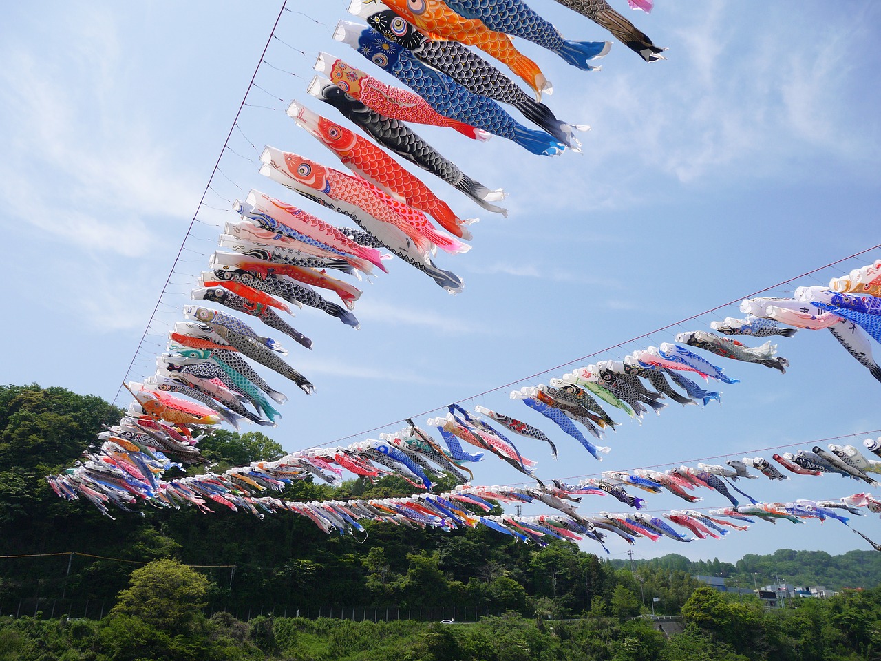 鯉のぼりの川渡し